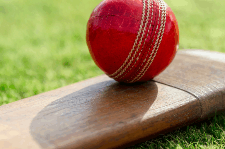 A close-up of a red cricket ball resting on a wooden cricket bat, with green grass visible in the background.
