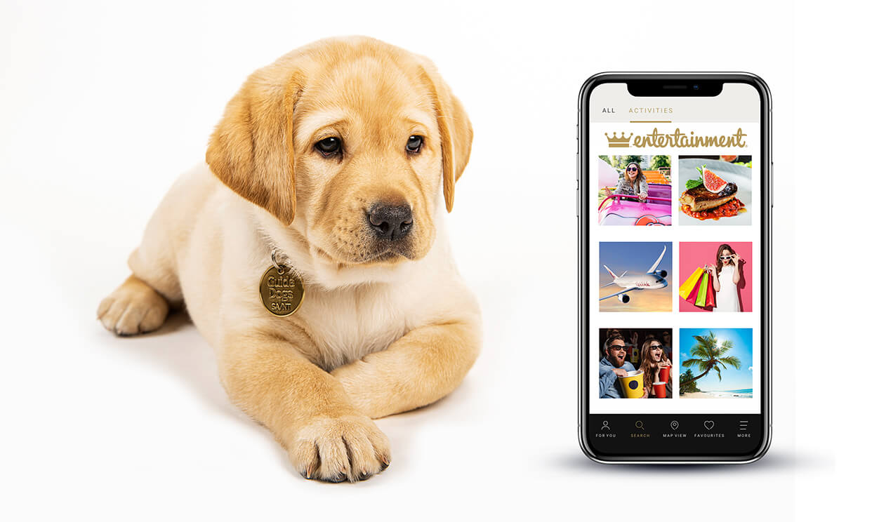 A yellow Labrador puppy lies next to a mobile phone displaying an entertainment app with colourful images, including food, travel, and outdoor activities. The background is white.