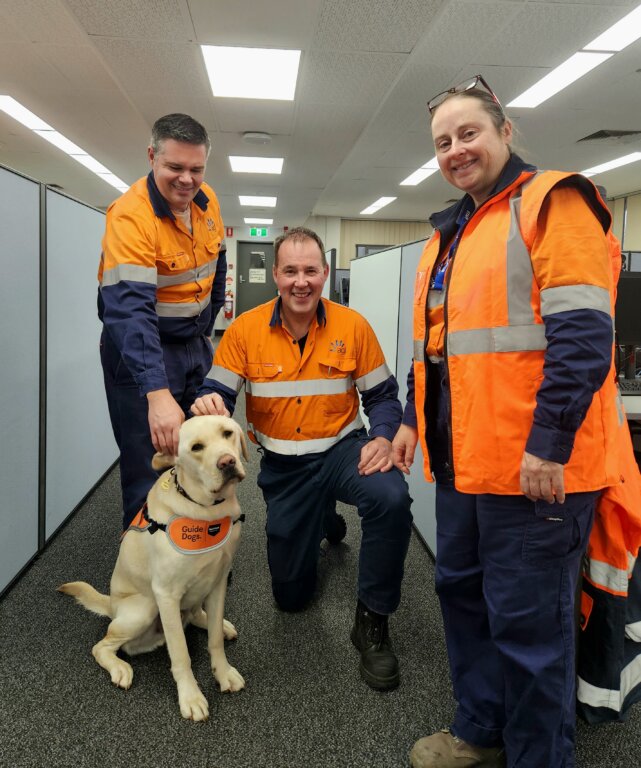 Three people in high-visibility work uniforms smile in an office next to a yellow Labrador guide dog wearing an orange vest. Two of them are stroking the dog, and all appear happy.