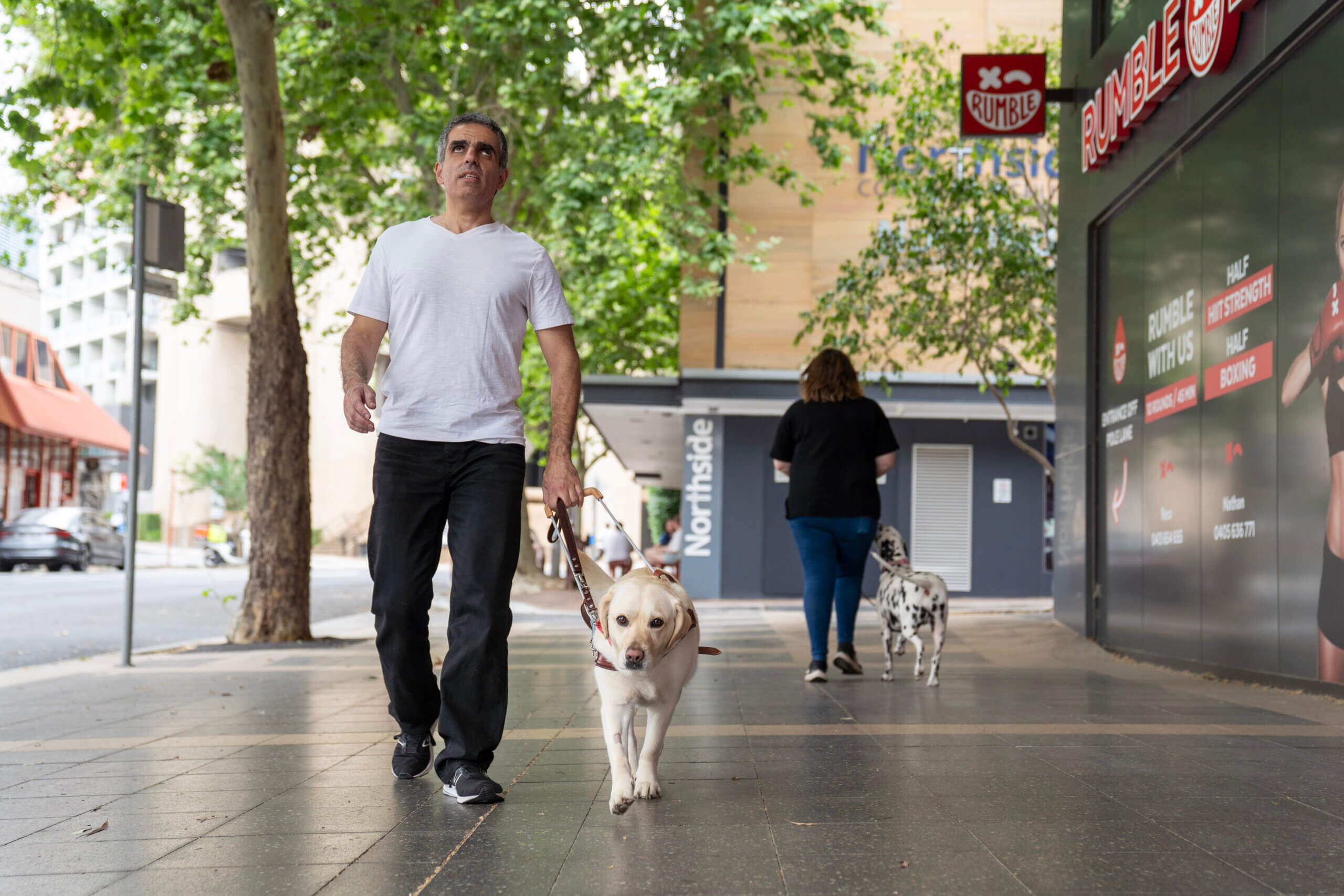 A man walks confidently on a city pavement with a guide dog on a harness. Another person ahead walks a Dalmatian. Trees line the street, and buildings and shop signs are visible in the background.