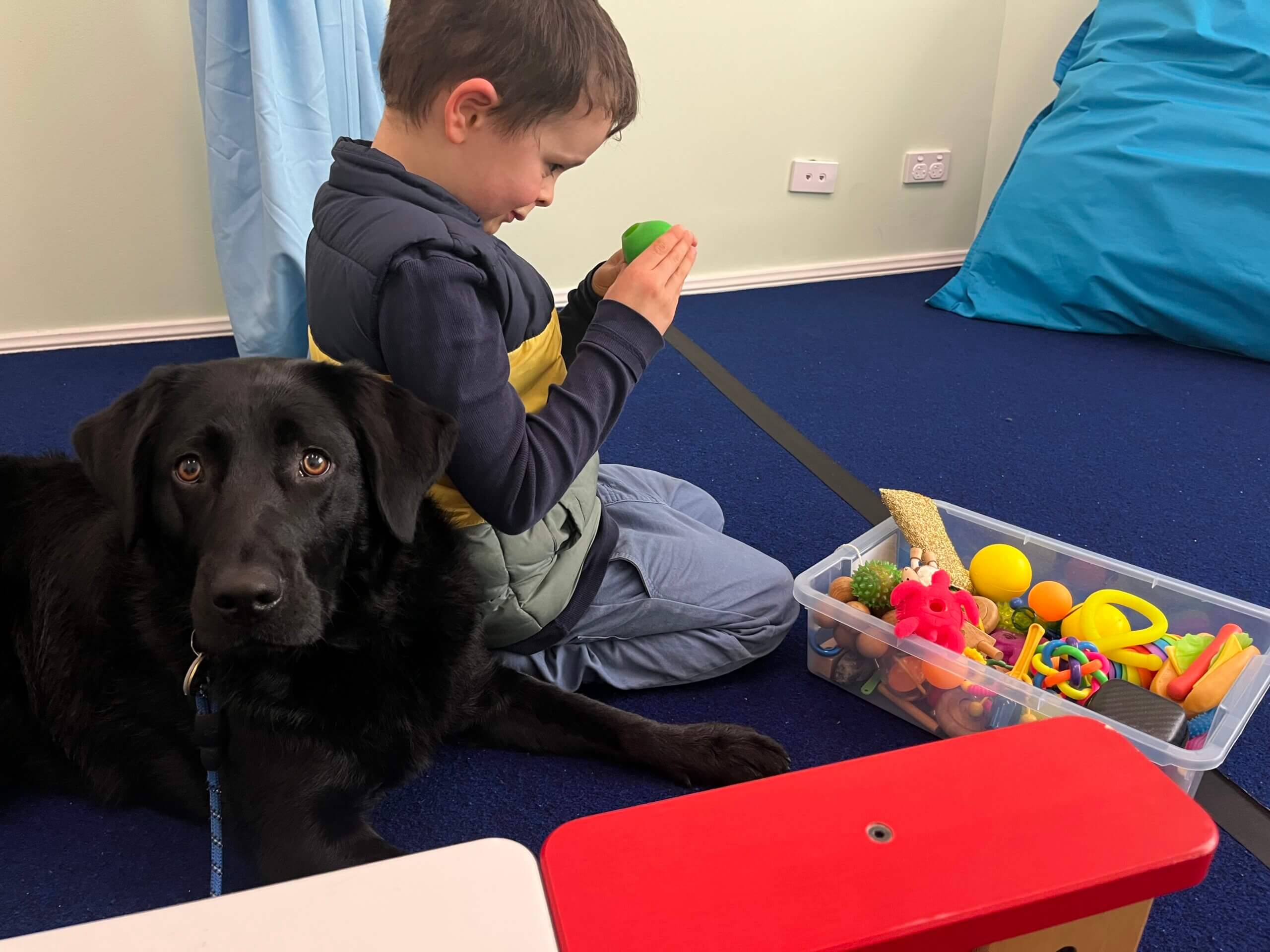 A young boy sits on a blue carpet playing with colourful toys from a clear plastic bin, while a black dog lies beside him, looking at the camera. A large blue beanbag is in the background.