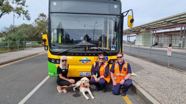 Four people, one with a guide dog, kneel and sit in front of a green and yellow city bus at a bus stop. Three wear orange safety vests; the guide dog sits calmly between them. The scene highlights accessible events at a shelter with trees in the background.