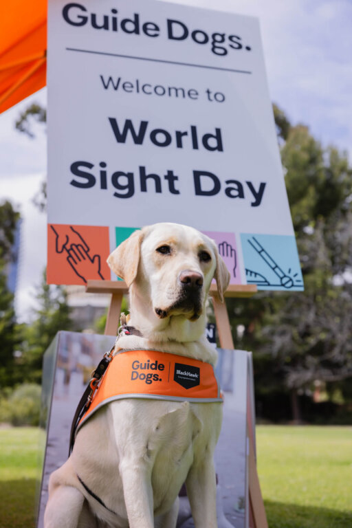 A yellow Labrador wearing an orange Guide Dogs vest sits in front of a sign that reads Welcome to World Sight Day. Trees and grass are visible in the background.