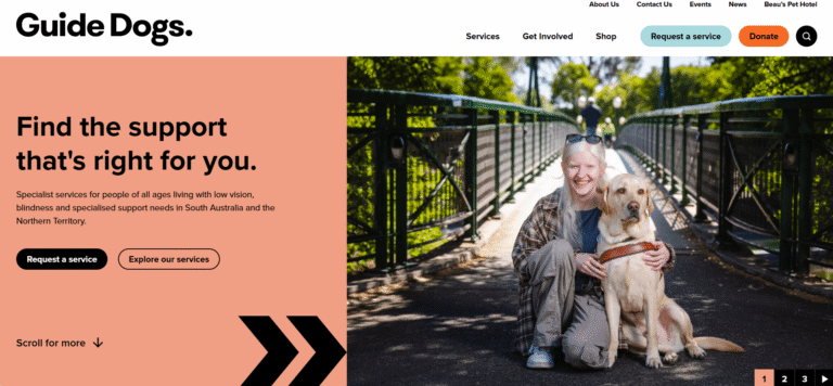 The new Guide Dogs website, showing a person kneeling beside a guide dog on a bridge. The left side of the image contains Guide Dogs branding, navigation links, and buttons to request or explore services.