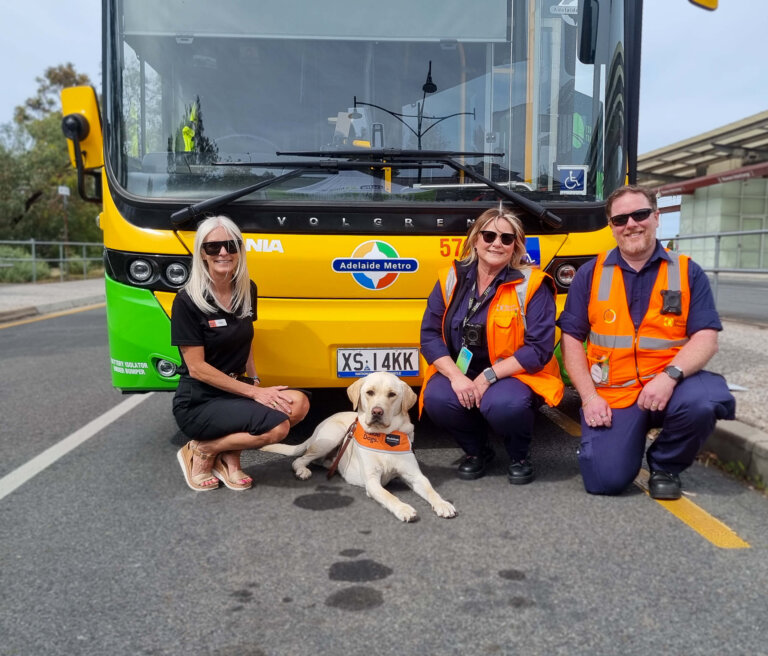 Three adults wearing work uniforms kneel and sit on the road in front of a yellow Adelaide Metro bus. A light-coloured guide dog lies between them. The group is smiling at the camera.