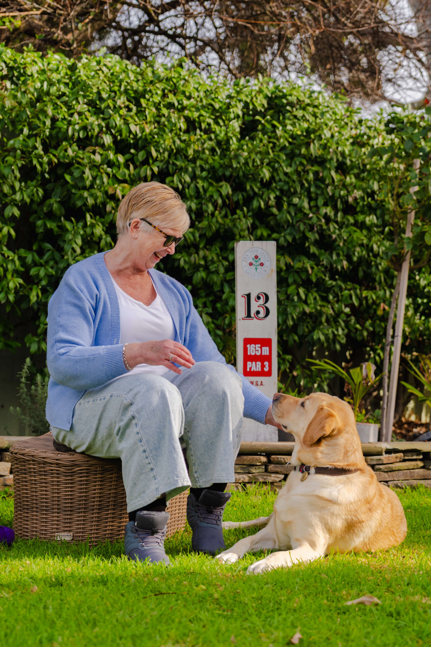 An older woman in a blue cardigan sits on a wicker seat outdoors, stroking a yellow Labrador. Behind her, a golf course sign reads 13, 165 m, Par 3. Green bushes and trees are in the background.