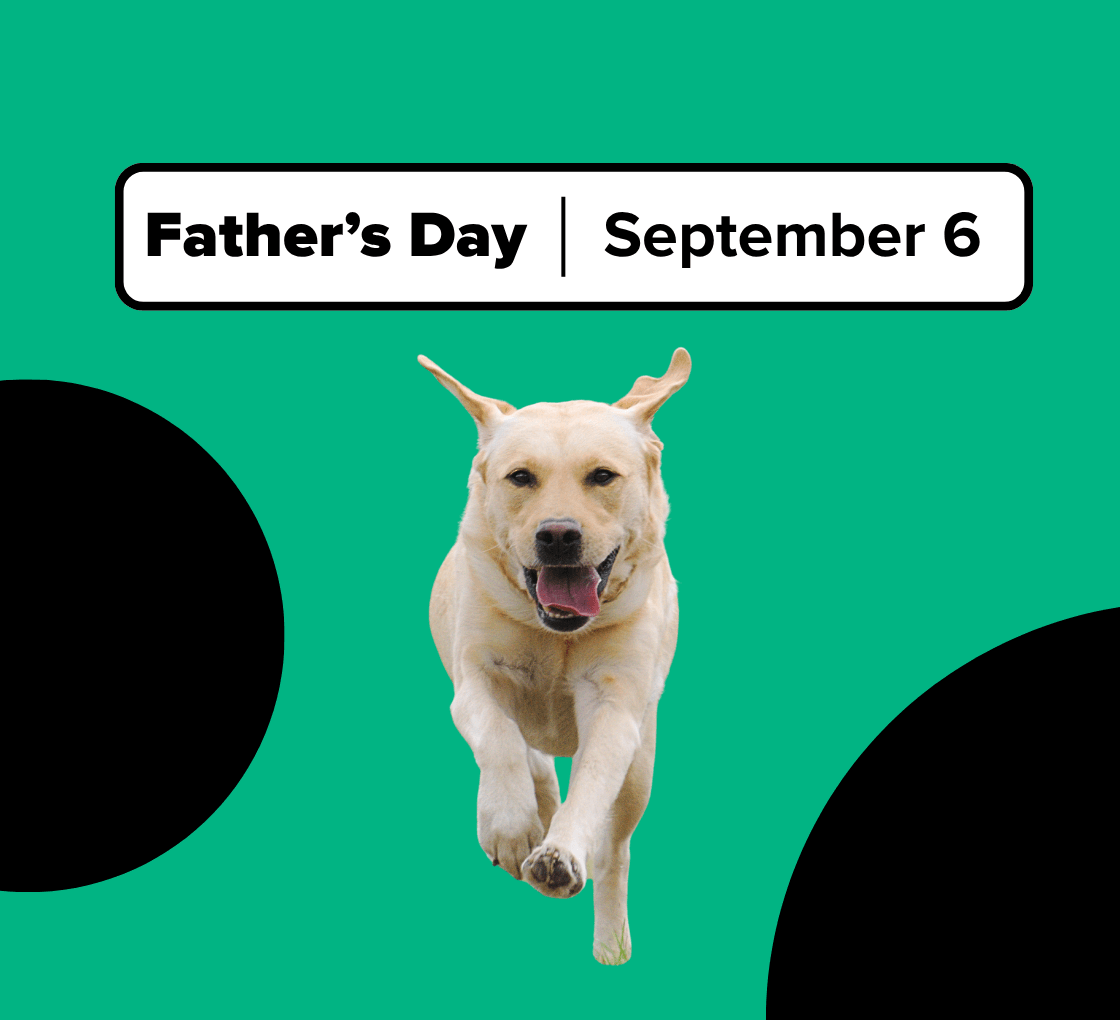 A yellow labrador, runs towards the camera on a green background. A white box reads Fathers' Day | 6 September. Two black circles are on the left and right sides of the image.