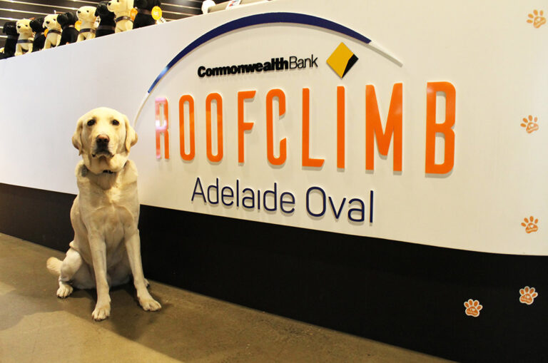Guide Dogs SA/NT clients take on Adelaide Oval RoofClimb