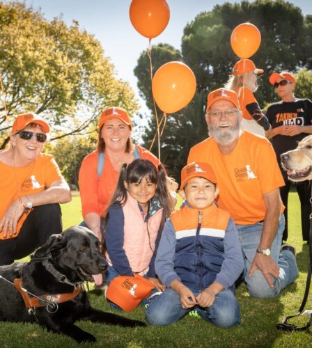 Our highlights of 2019