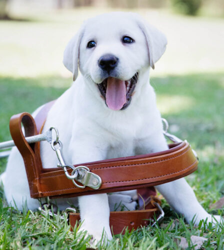 Honouring our graduates and retirees