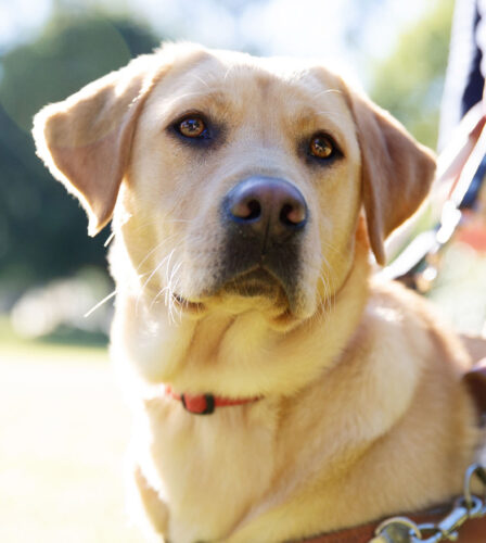 The Cornerstone To All That We Are