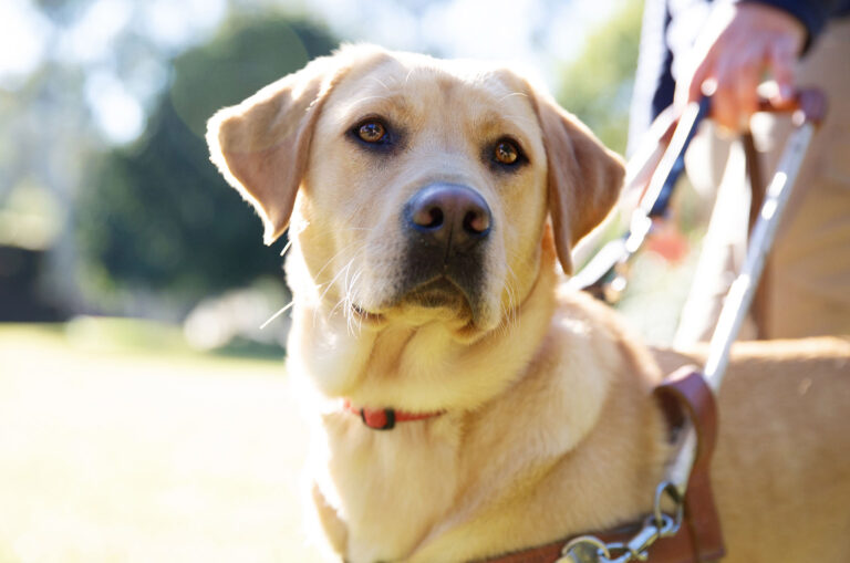 The Cornerstone To All That We Are