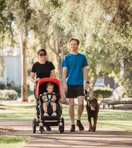 Dog owners urged to ‘Take the Lead’ on International Guide Dog Day