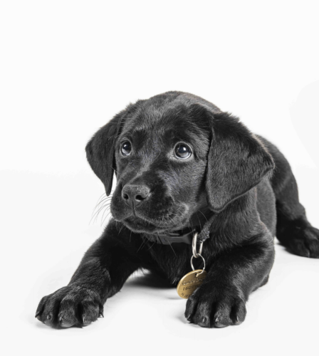 Paul Bevan’s Query – Why you Should Donate!