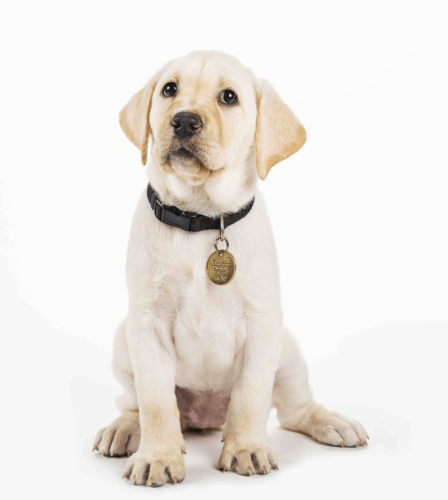 Two new Honorary Life Member awards