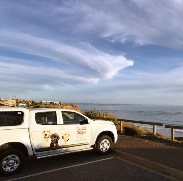A Guide Dogs branded car in a car park at the beach.