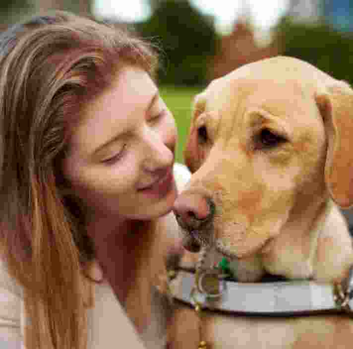 Close up of a person with their Guide Dog, who is caramel in colour and in harness. The person is smiling at the dog.