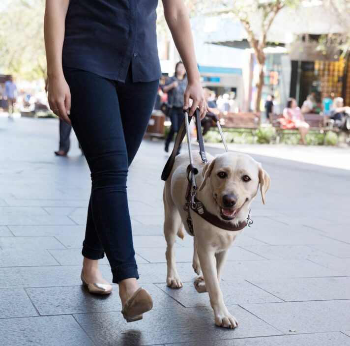 A person walking down the street with their yellow labrador Guide Dog who is in a harness.