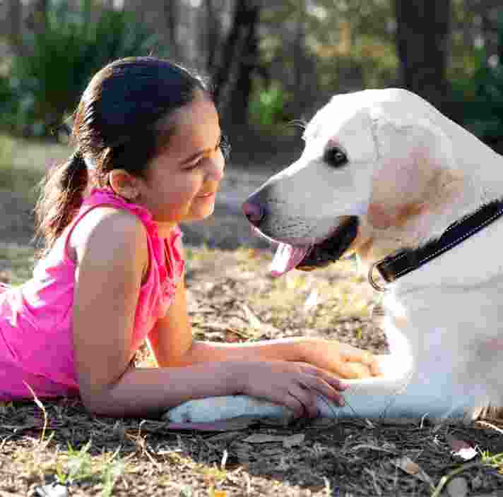 A young child laying down looking into the face of a yellow labrador dog with a smile on their face, They are both outside and are sitting facing each other.