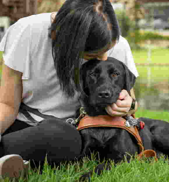 A Black Guide Dog in harness laying on grass looking at the camera. A person is sitting next to the Guide Dog and is leaning over, kissing the Guide Dog on the head.