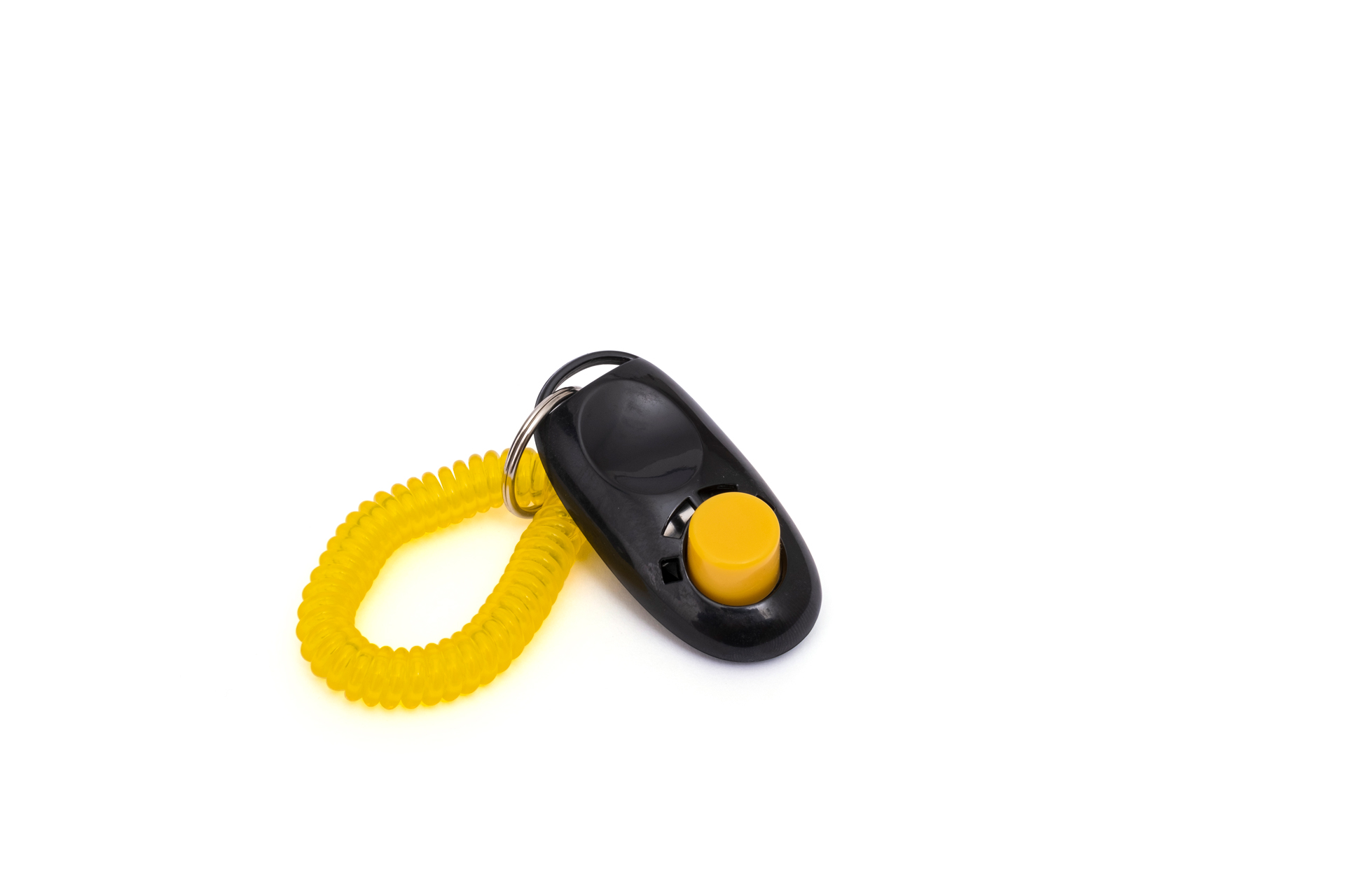 what are clickers for dog training