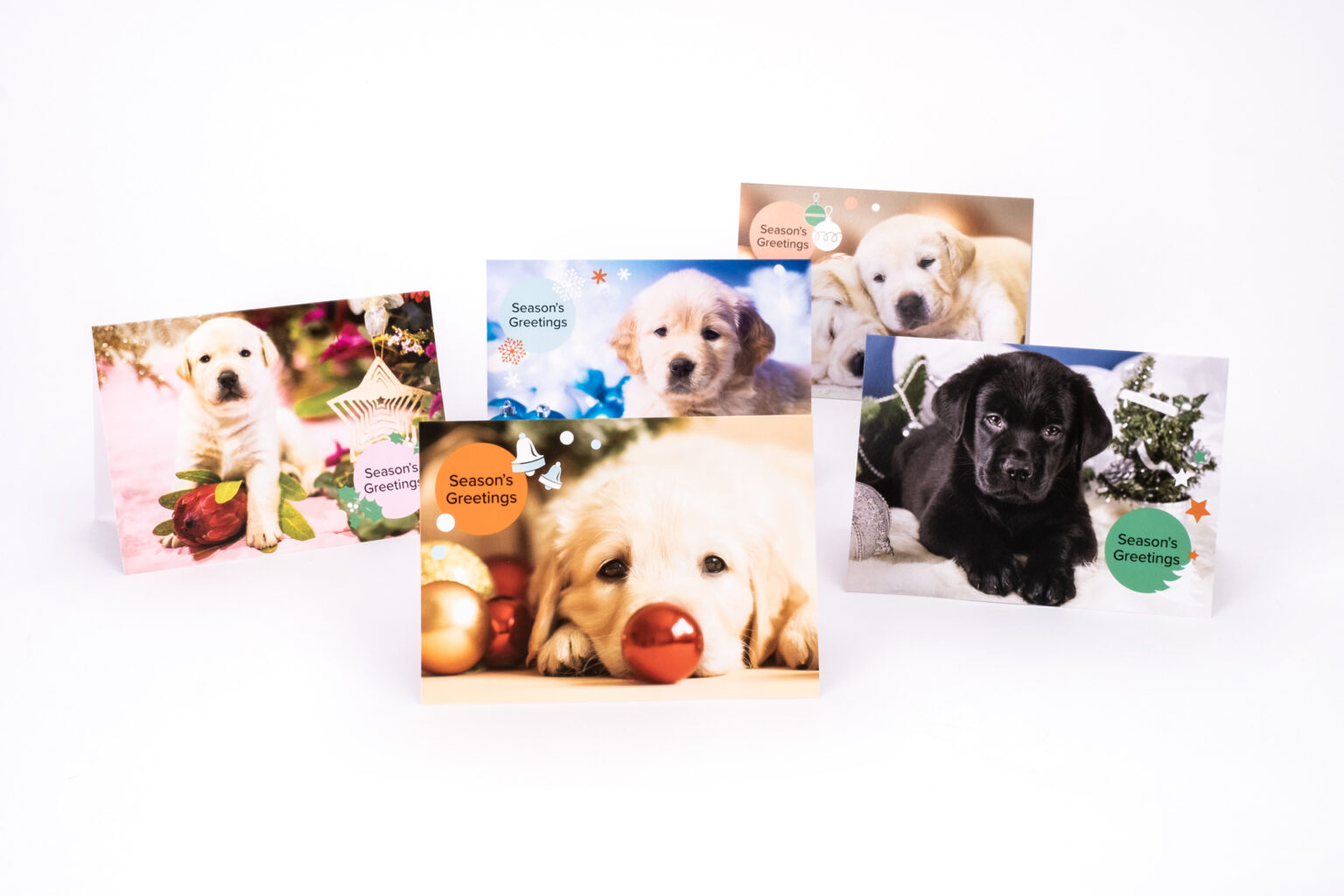 Grand Order Christmas 2022 Guide Christmas Cards 2022 (10 pack) Guide Dogs SA/NT Grand Order Christmas 2022 Guide Christmas Cards 2022 (10 pack) Guide Dogs SA/NT