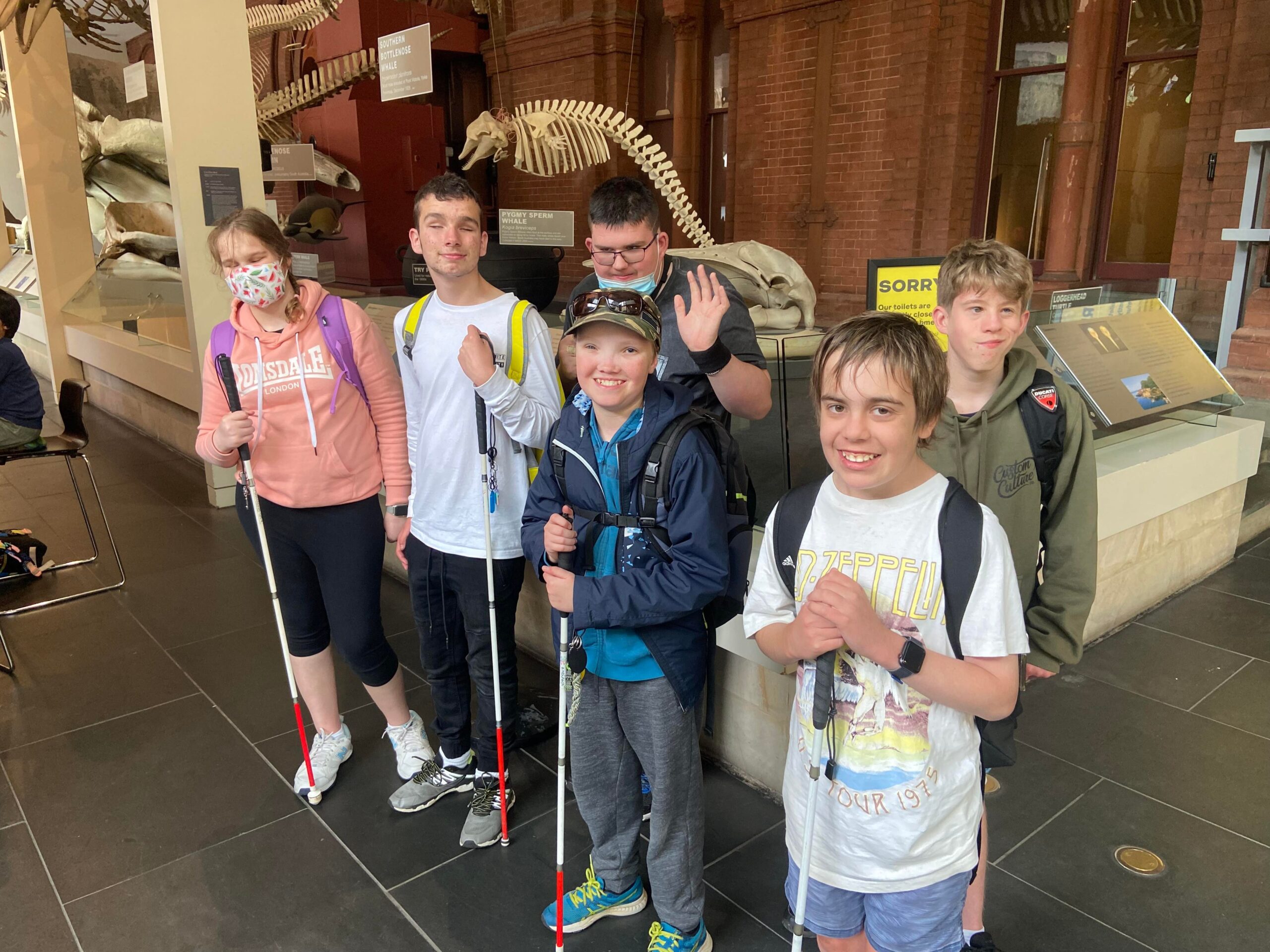 Social and recreation: Guided museum tour