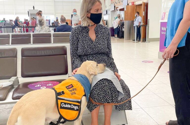 Adelaide Airport welcomes its first Guide Dogs SA/NT Facility Dog