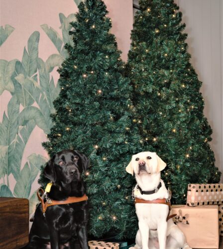 Carols and end of year celebration