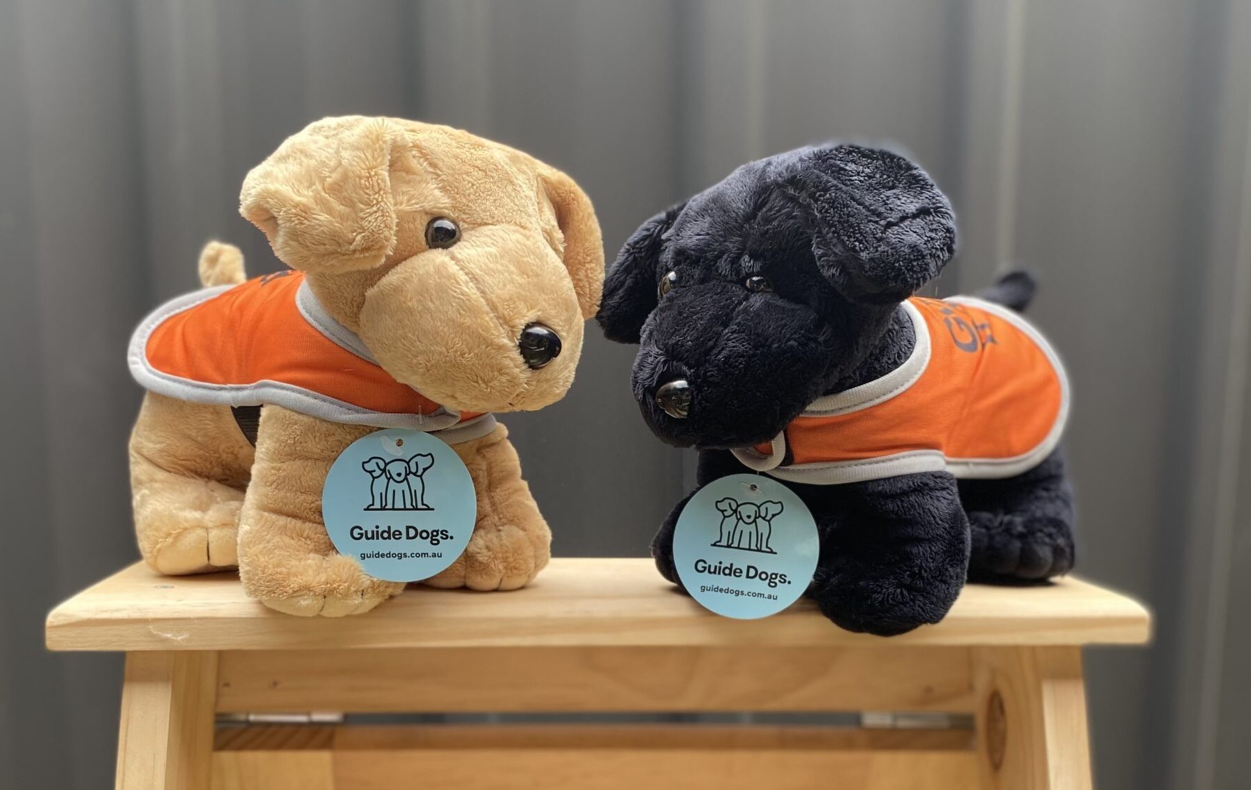 Two Plush Dog - Standing toys, each donning an orange vest and a Guide Dogs tag around its neck, are displayed on a wooden surface.