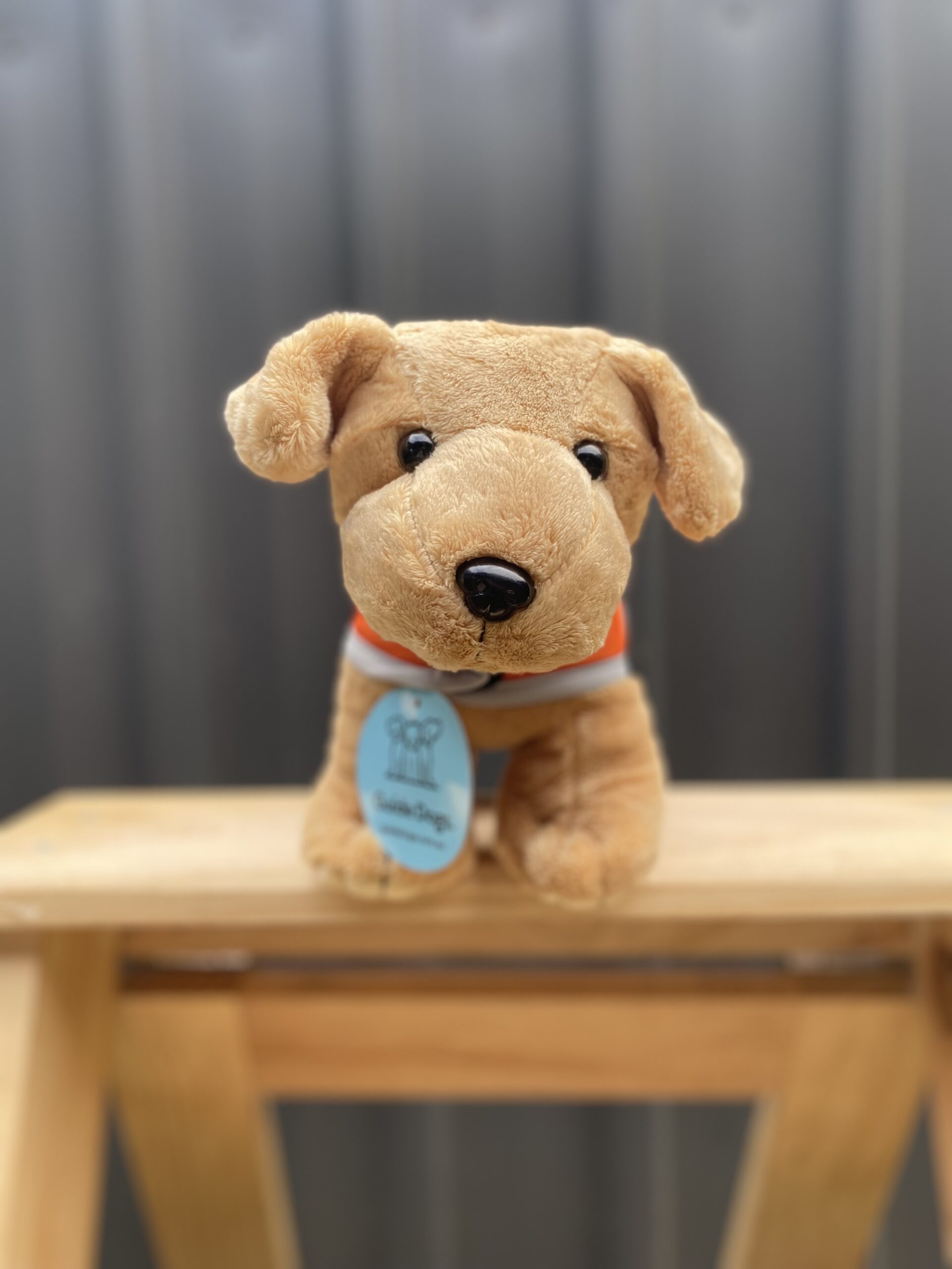 A small Plush Dog - Standing, complete with a blue tag, is positioned on a wooden stand against a gray background.
