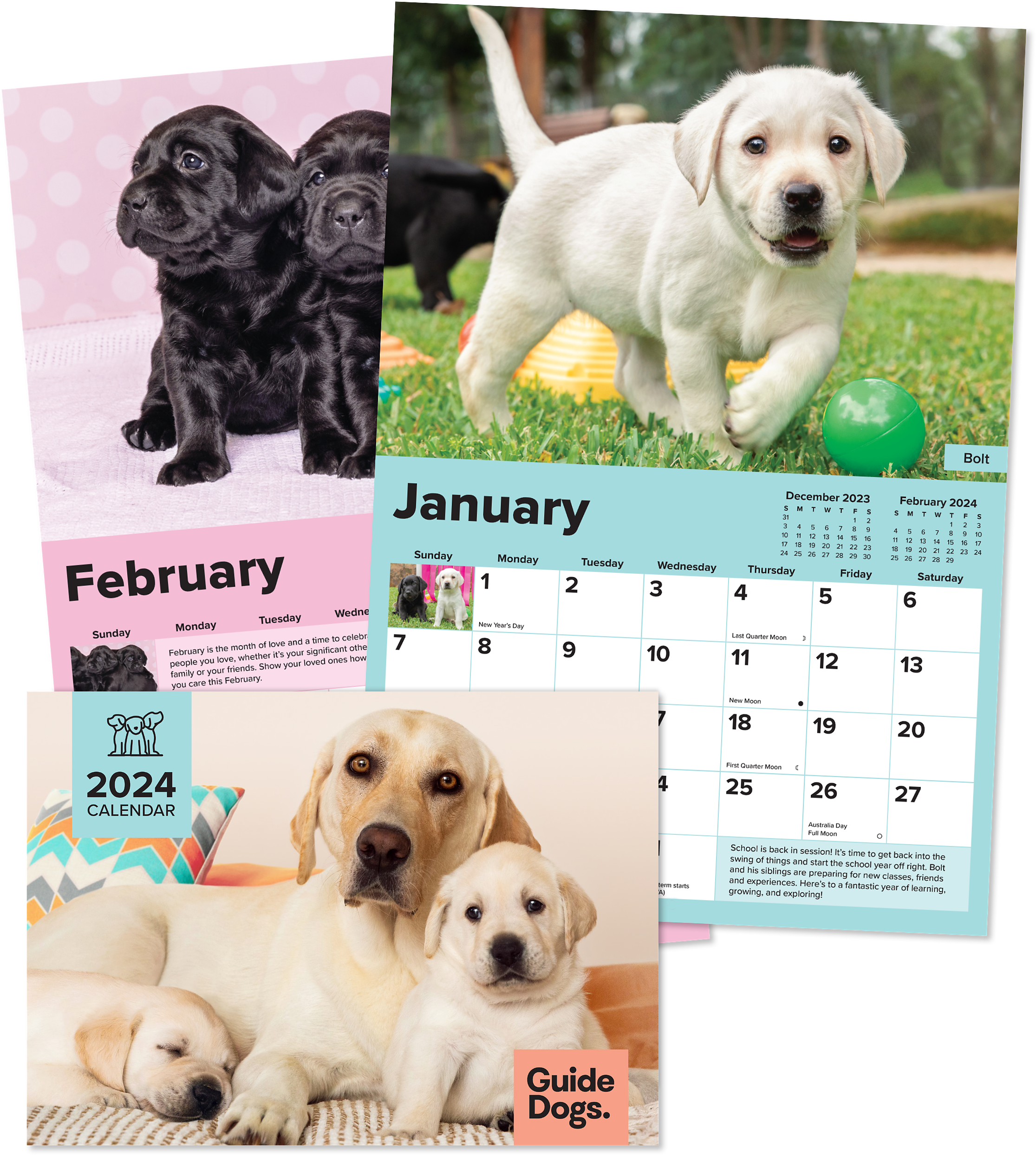 A 2024 calendar titled "Guide Dogs" showcases images of puppies and adult dogs, featuring the months of January and February.