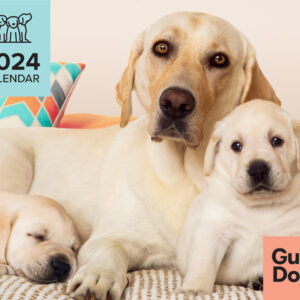 A Labrador Retriever sits with two puppies—one sleeping—on a blanket. The text reads "2024 Calendar" and "Guide Dogs.