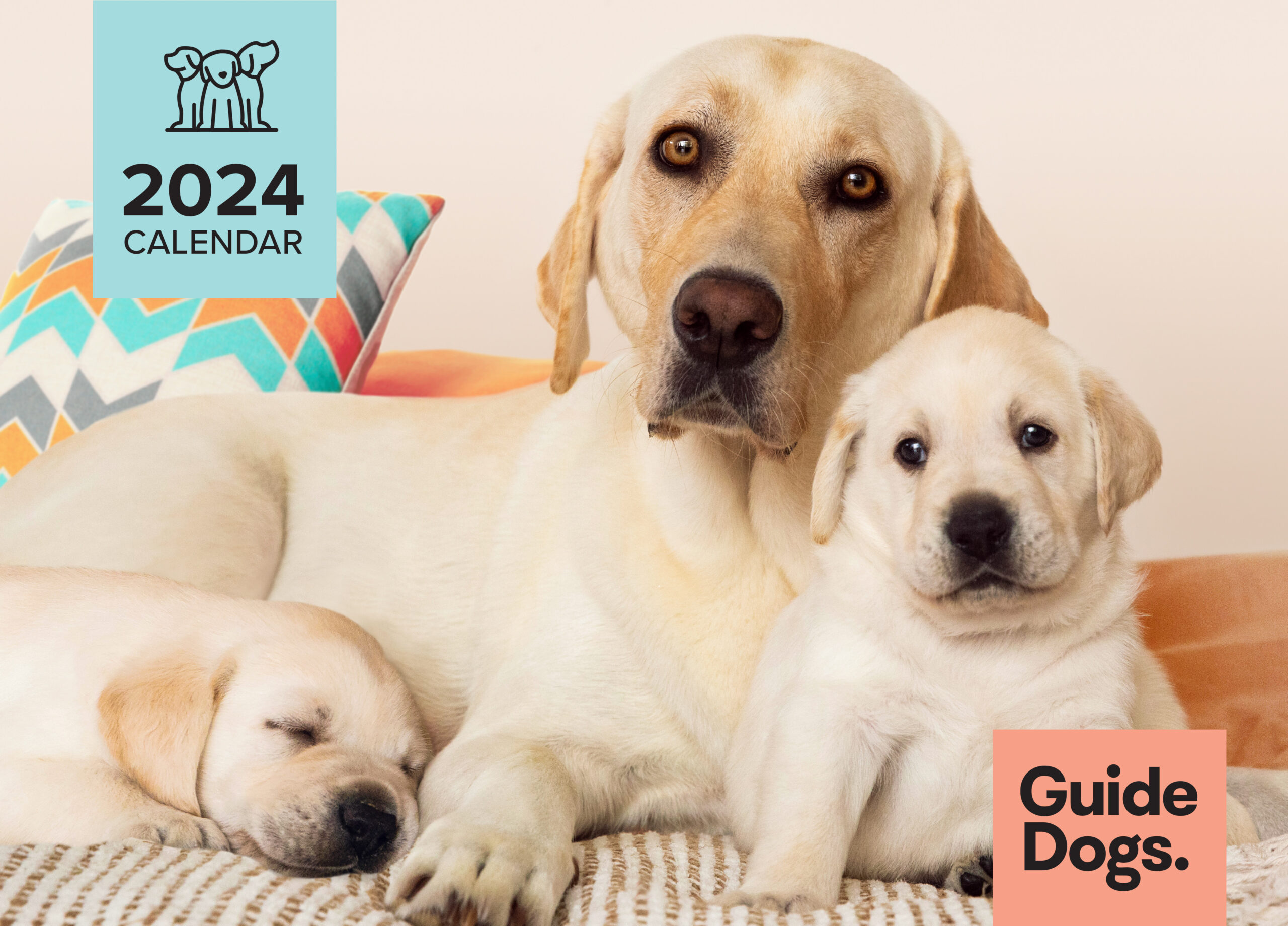 A Labrador Retriever sits with two puppies—one sleeping—on a blanket. The text reads "2024 Calendar" and "Guide Dogs.