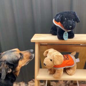 A dog looks at two "Plush Dog - Standing" guide dog toys, one black and one tan, displayed on a small wooden stand.