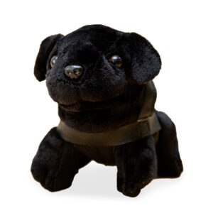 Mini Plush Dog with gleaming black nose, small black eyes, a dark harness, and sitting upright against a white backdrop.