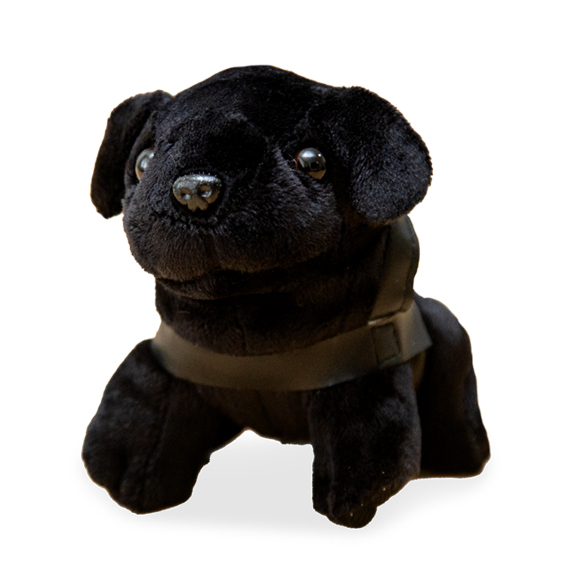 Mini Plush Dog with gleaming black nose, small black eyes, a dark harness, and sitting upright against a white backdrop.