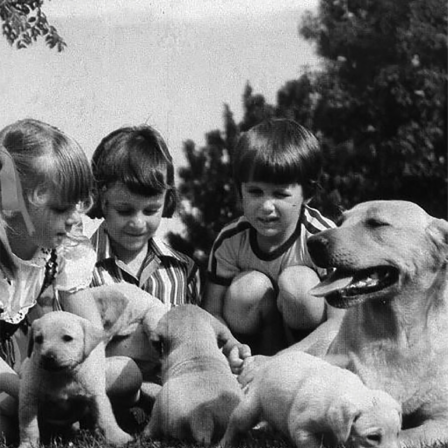 Exploring Local Heritage