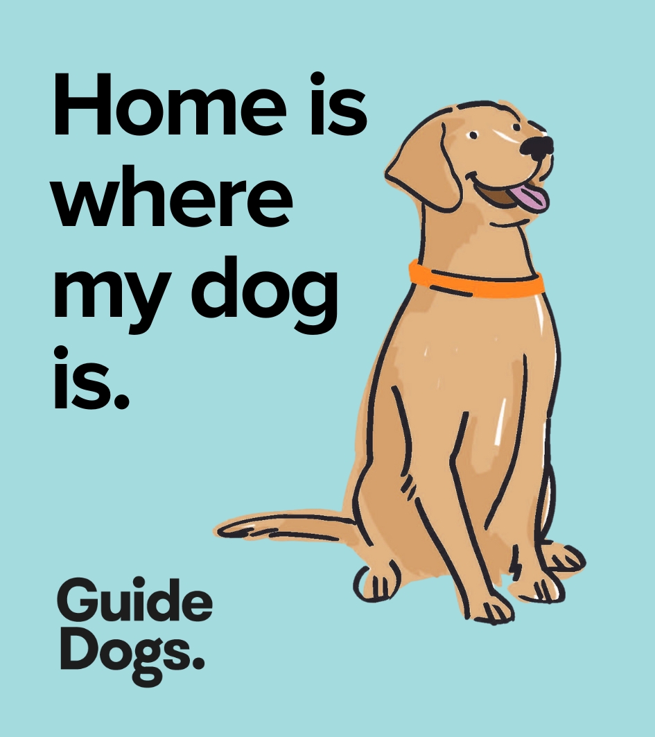 Illustration of a joyful dog sitting beside the text "Home is where my dog is" on a teal backdrop. At the bottom, it reads "Guide Dogs." Available as part of a Magnets-5 Pack.