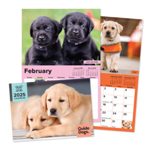 Three pages from the 2025 Calendar showcasing adorable guide dog puppies in a variety of poses.