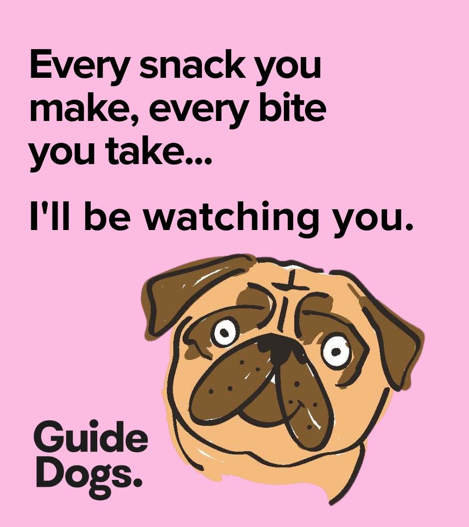 Illustration of a pug with wide eyes on a pink background. Text reads: Every snack you make, every bite you take... I'll be watching you. Beneath, it says Guide Dogs. Part of the "Magnets-5 Pack" collection.