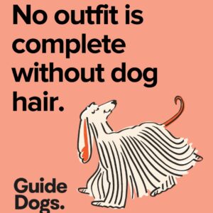 Illustration of a dog with the text: No outfit is complete without dog hair. Accompanied by Guide Dogs' Magnets-5 Pack.