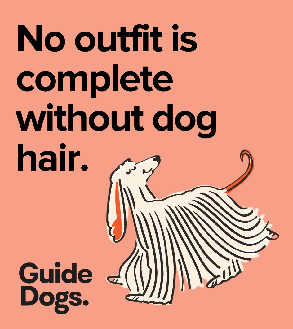 Illustration of a dog with the text: No outfit is complete without dog hair. Accompanied by Guide Dogs' Magnets-5 Pack.