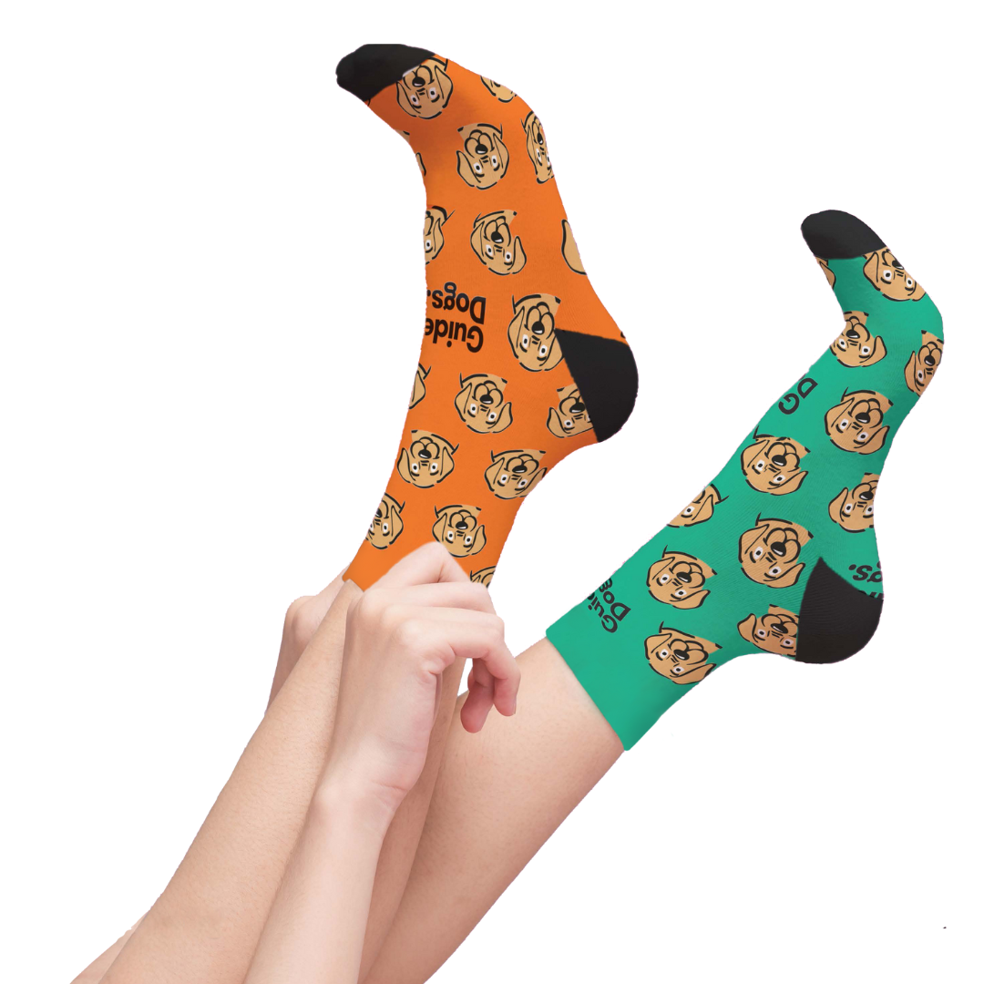 Hands hold feet in a mismatched pair from the Guide Dogs Fundraising Pack, featuring one orange sock and one green sock with playful dog face patterns.