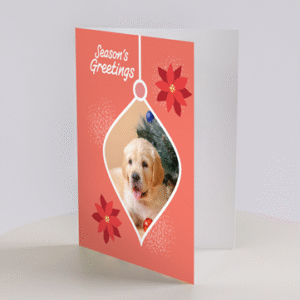 Send holiday cheer with Christmas Cards - Puppies, featuring a golden retriever in an ornament frame and festive red poinsettias, perfect for sharing Season’s Greetings.