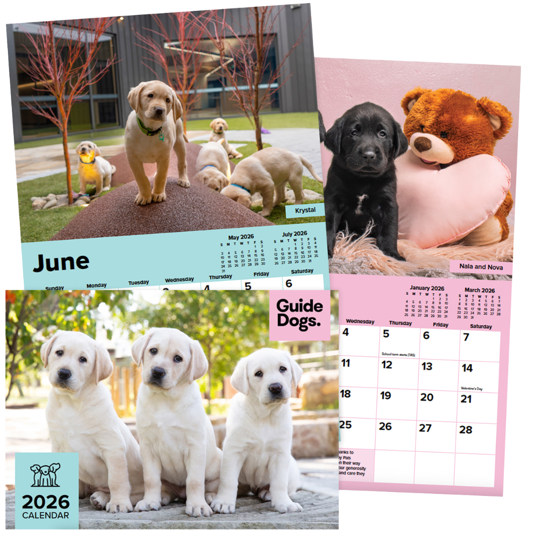 2026 Calendar features adorable Labrador Retriever puppies, including group outdoor shots, playful scenes with a teddy bear, and three pups sitting together on the grass.