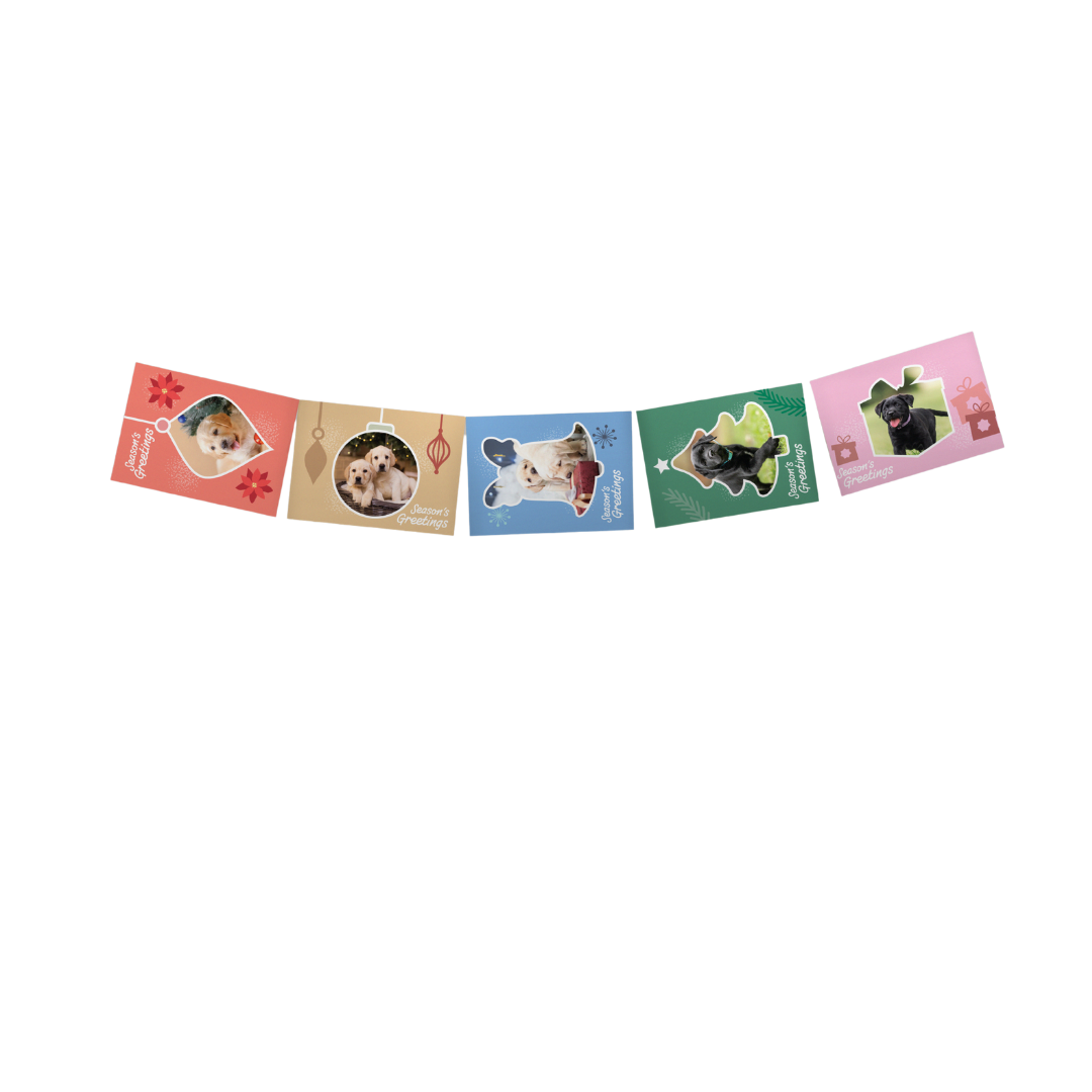 The "Christmas Cards - Puppies" set includes five festive cards, each showcasing an adorable dog in holiday accessories against vibrant backgrounds.