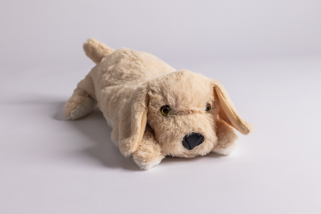 The Plush PJ Puppy, a beige plush toy dog, lies on a white surface with its front paws extended and facing forward.