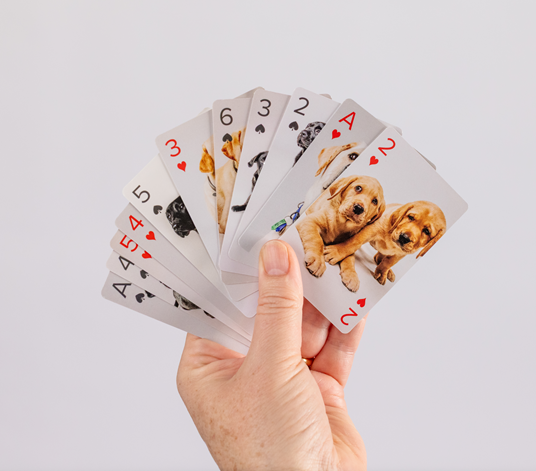 A hand holds a fan of Playing Cards that feature images of puppies instead of traditional card designs.