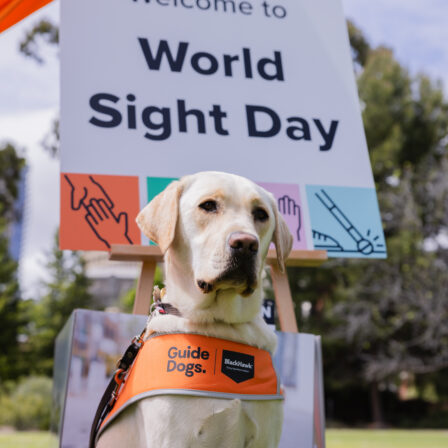 Celebrating World Sight Day 2025!
